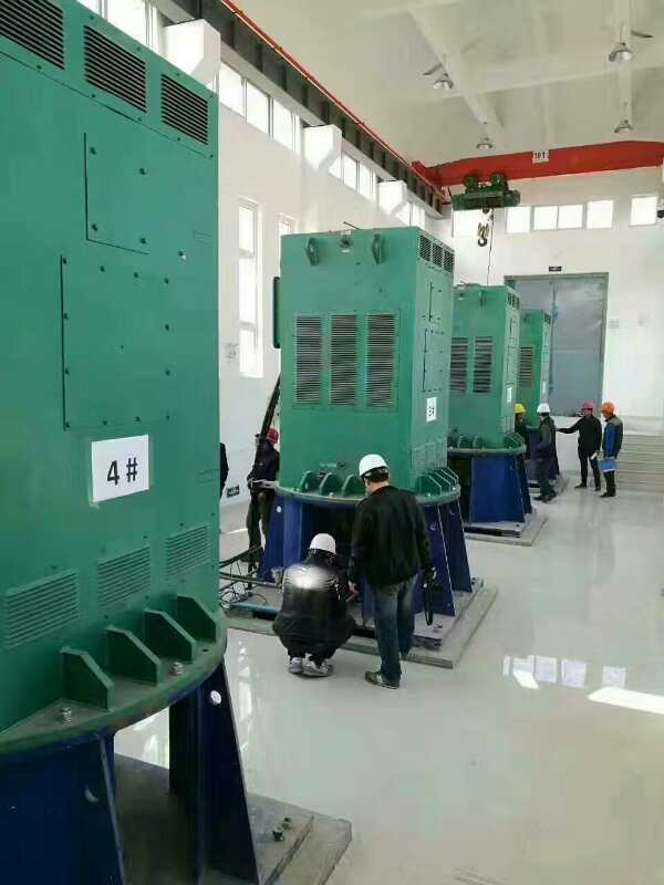 邵武某污水处理厂使用我厂的立式高压电机安装现场